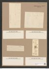 Pleurosigma marinum Donk. (de-Toni-Nr.: Genus 13, Species 1009) Zeichnungen Sammlung Grunow Nr. 2055 (NHMW-BOT-W0368914)